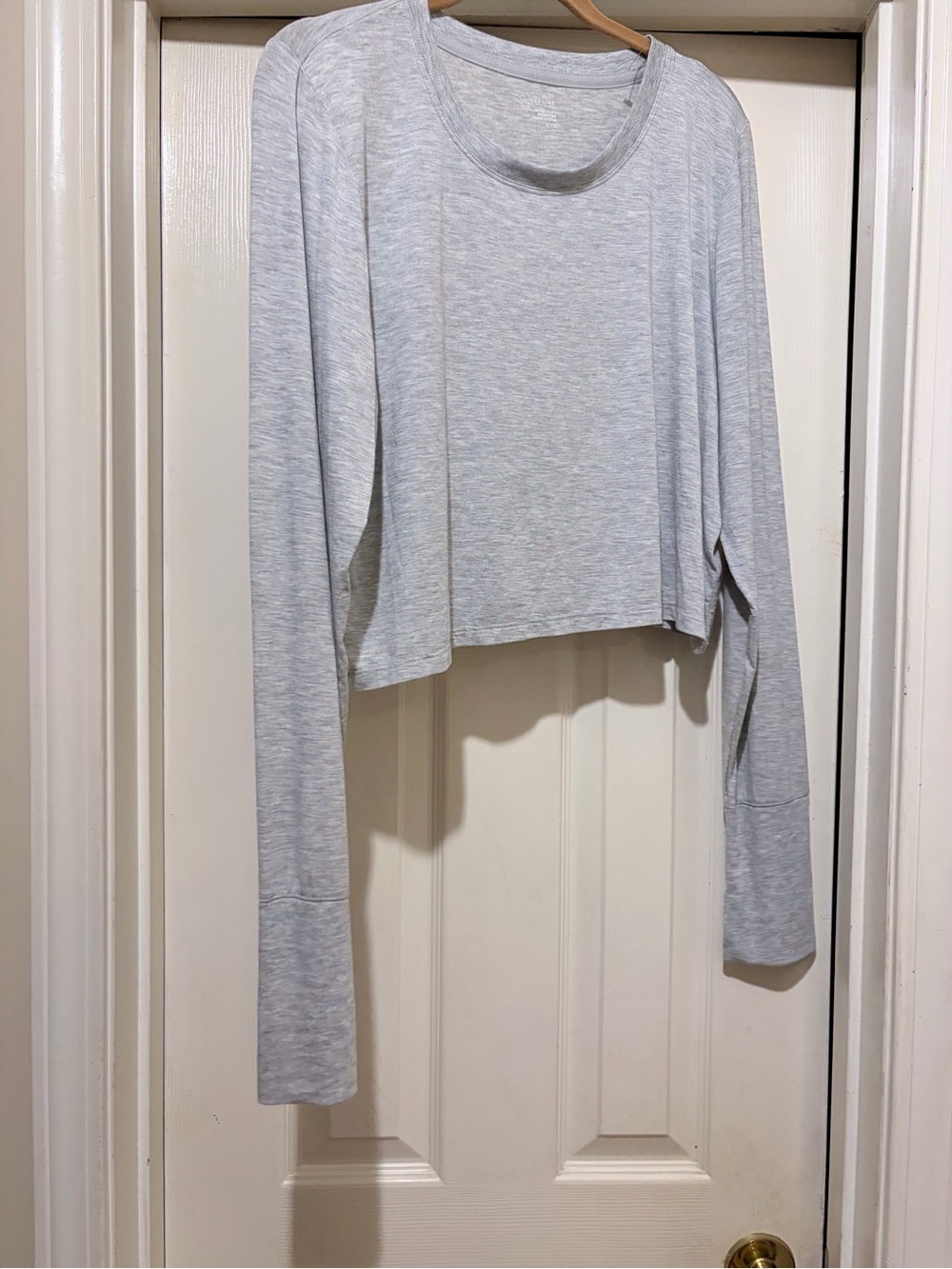 Cropped Long-Sleeve Crewneck Top in Light Gray
